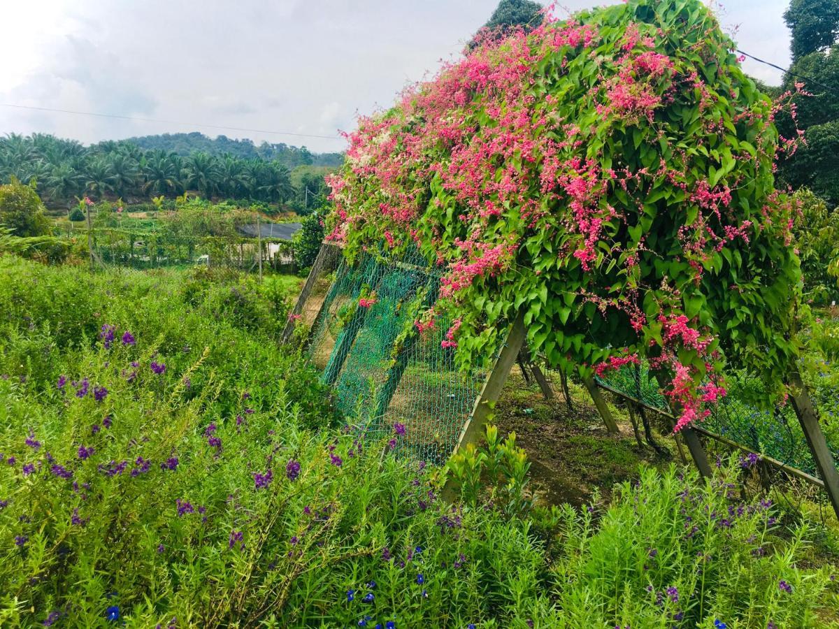 Durian Ecolodge 탐핀 외부 사진