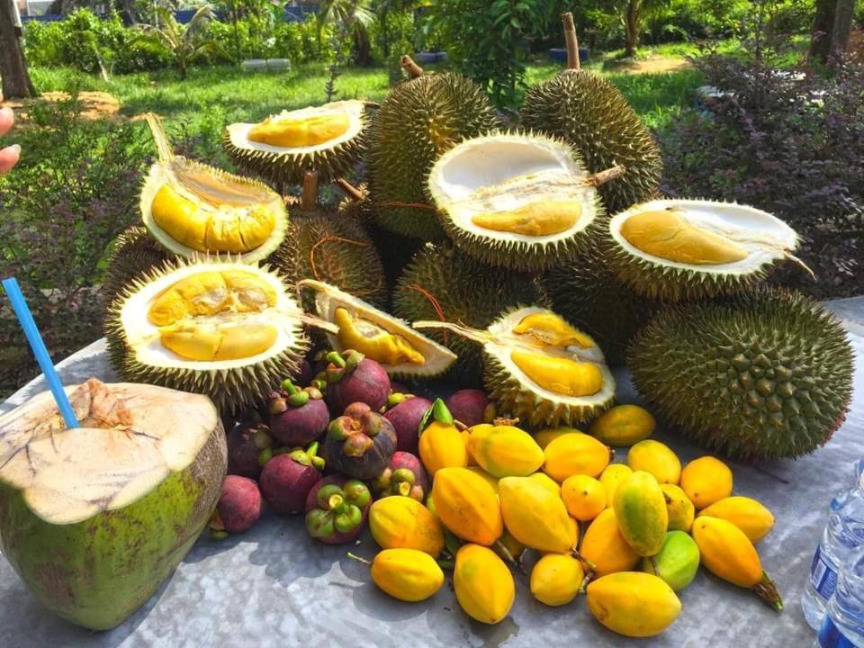 Durian Ecolodge 탐핀 외부 사진